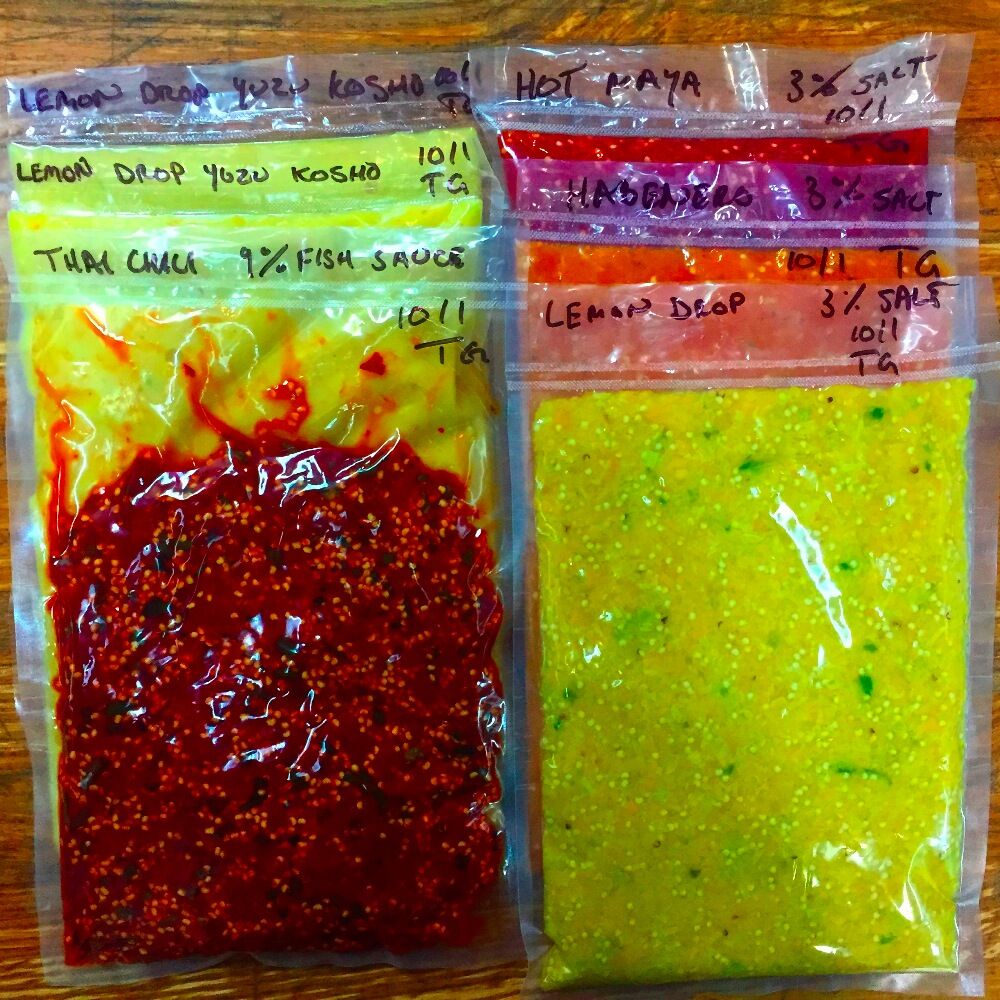 Local Chili Peppers Fermenting into Hot Sauce